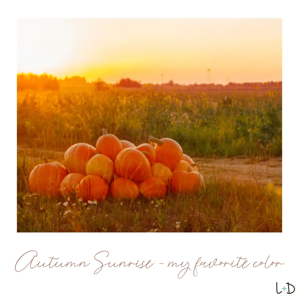 Autumn Sunflower Bangle Bracelet