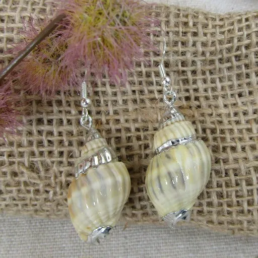 Cream Turban Sea Shell Earrings