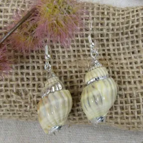 Cream Turban Sea Shell Earrings