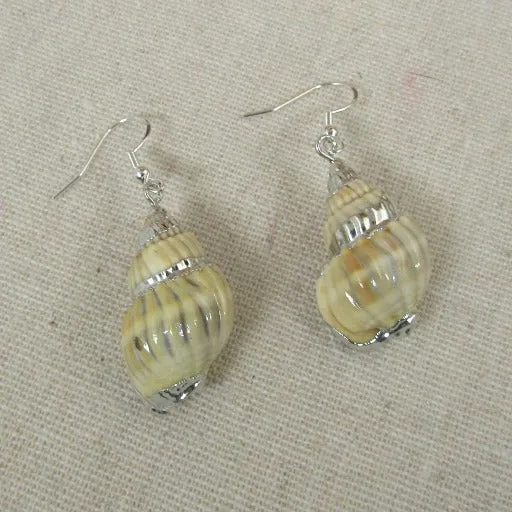 Cream Turban Sea Shell Earrings