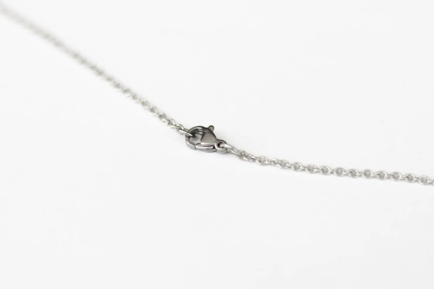 Paw necklace for men, silver chain, gift for him, waterproof pet necklace, animal lovers, festival jewelry